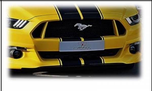 frontgrill-ford-mustang-tuning-lae-styling